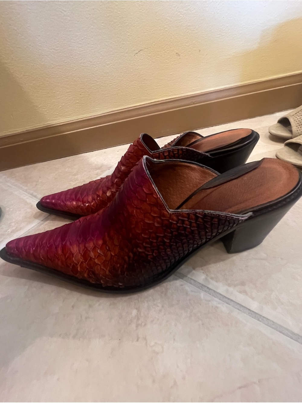 Donald J. Pliner Red to Burgundy Ombre Pointed Mule Heels